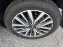 Thumbnail image of 2023 Nissan Kicks at Gator Automotive Group Used