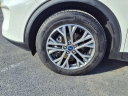 Thumbnail image of 2021 Ford Escape at Wayne County Ford