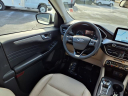 Thumbnail image of 2021 Ford Escape at Wayne County Ford