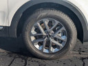 Thumbnail image of 2024 Kia Telluride at Daytona Kia - New