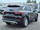 Thumbnail image of 2024 Ford Escape at Bill Dube Ford Toyota Scion