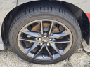 Thumbnail image of 2023 Dodge Charger at Jenkins Chrysler-Dodge-Jeep