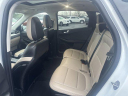 Thumbnail image of 2022 Ford Escape Plug-In Hybrid at Uftring AutoMall USED