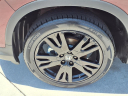 Thumbnail image of 2022 Honda Pilot at Ed Morse Honda