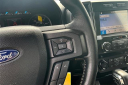 Thumbnail image of 2019 Ford F-150 at Randy Wise Ford Inc.