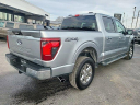 Thumbnail image of 2024 Ford F-150 at Baglier Mazda - New and Used
