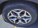 Thumbnail image of 2022 Subaru Forester at Serra Buick Gmc Champaign