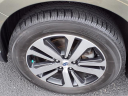 Thumbnail image of 2019 Subaru Outback at Serra Buick Gmc Champaign