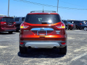 Thumbnail image of 2014 Ford Escape at Sykora Family Ford