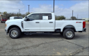 Thumbnail image of 2023 Ford F-250 Super Duty at Town & Country Ford