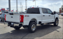 Thumbnail image of 2023 Ford F-250 Super Duty at Town & Country Ford