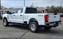 Thumbnail image of 2023 Ford F-250 Super Duty at Town & Country Ford