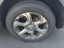 Thumbnail image of 2017 Honda CR-V at Hamilton Honda