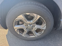 Thumbnail image of 2017 Honda CR-V at Hamilton Honda