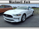 Thumbnail image of 2021 Ford Mustang at Blackwell Ford, Inc.