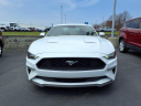 Thumbnail image of 2021 Ford Mustang at Blackwell Ford, Inc.