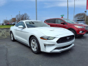 Thumbnail image of 2021 Ford Mustang at Blackwell Ford, Inc.