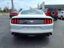 Thumbnail image of 2021 Ford Mustang at Blackwell Ford, Inc.