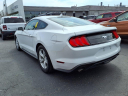 Thumbnail image of 2021 Ford Mustang at Blackwell Ford, Inc.