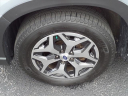 Thumbnail image of 2019 Subaru Forester at Serra Buick Gmc Champaign
