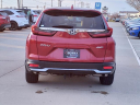 Thumbnail image of 2020 Honda CR-V at Serra Buick Gmc Champaign