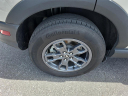 Thumbnail image of 2024 Ford Bronco Sport at Allen Turner Genesis
