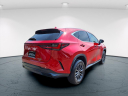 Thumbnail image of 2024 Lexus NX 250 at Ray Catena Lexus Freehold Nj