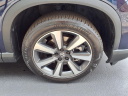 Thumbnail image of 2024 Honda Pilot at Dave White Acura
