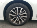 Thumbnail image of 2019 Subaru Legacy at Hamilton Honda