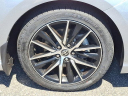 Thumbnail image of 2023 Toyota Camry at Conicelli Toyota of Springfield - NEW
