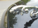 Thumbnail image of 2014 Jaguar XJL at VARIETY AUTO GROUP, LLC