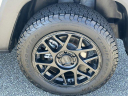 Thumbnail image of 2023 Jeep Renegade at New - Shottenkirk Chrysler Dodge Jeep Ram