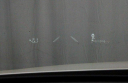 Thumbnail image of 2023 Lexus LS 500 at Ricart Used