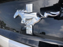 Thumbnail image of 2015 Ford Mustang at Glenn's Quality Preowned Sales