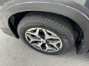 Thumbnail image of 2019 Subaru Forester at ZARA AUTO SALES INC