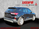 Thumbnail image of 2022 Ford Escape at Liccardi Chrysler Dodge Mitsubishi