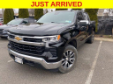 Thumbnail image of 2022 Chevrolet Silverado 1500 at South Shore Kia