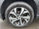 Thumbnail image of 2022 Subaru Outback at Subaru of Stamford