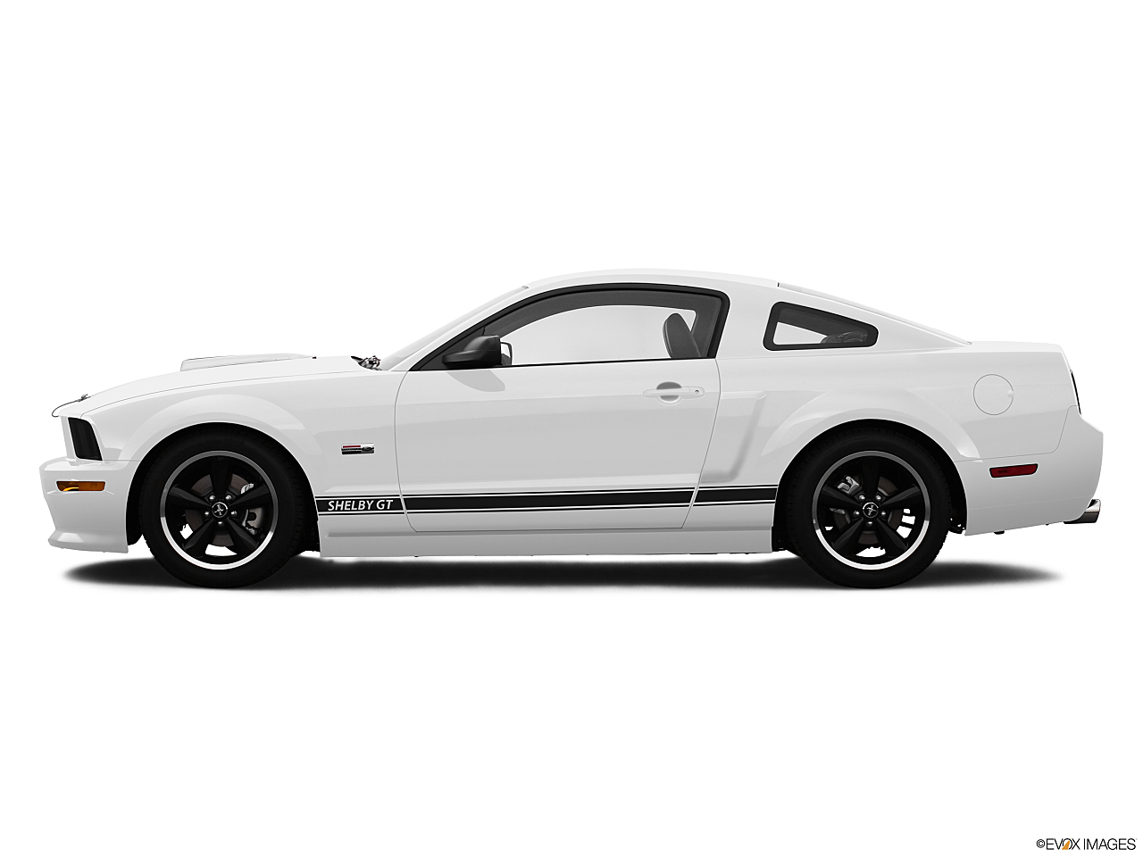 Image of 2007 Ford Shelby GT500 Base