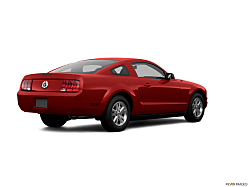Thumbnail image of 2008 Ford Mustang at Maxxcar of Sarasota, FL