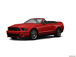 Thumbnail image of 2008 Ford Shelby GT500 at Morrison Motor Company, Inc