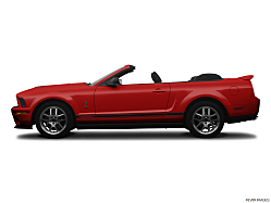 Thumbnail image of 2008 Ford Shelby GT500 at Morrison Motor Company, Inc