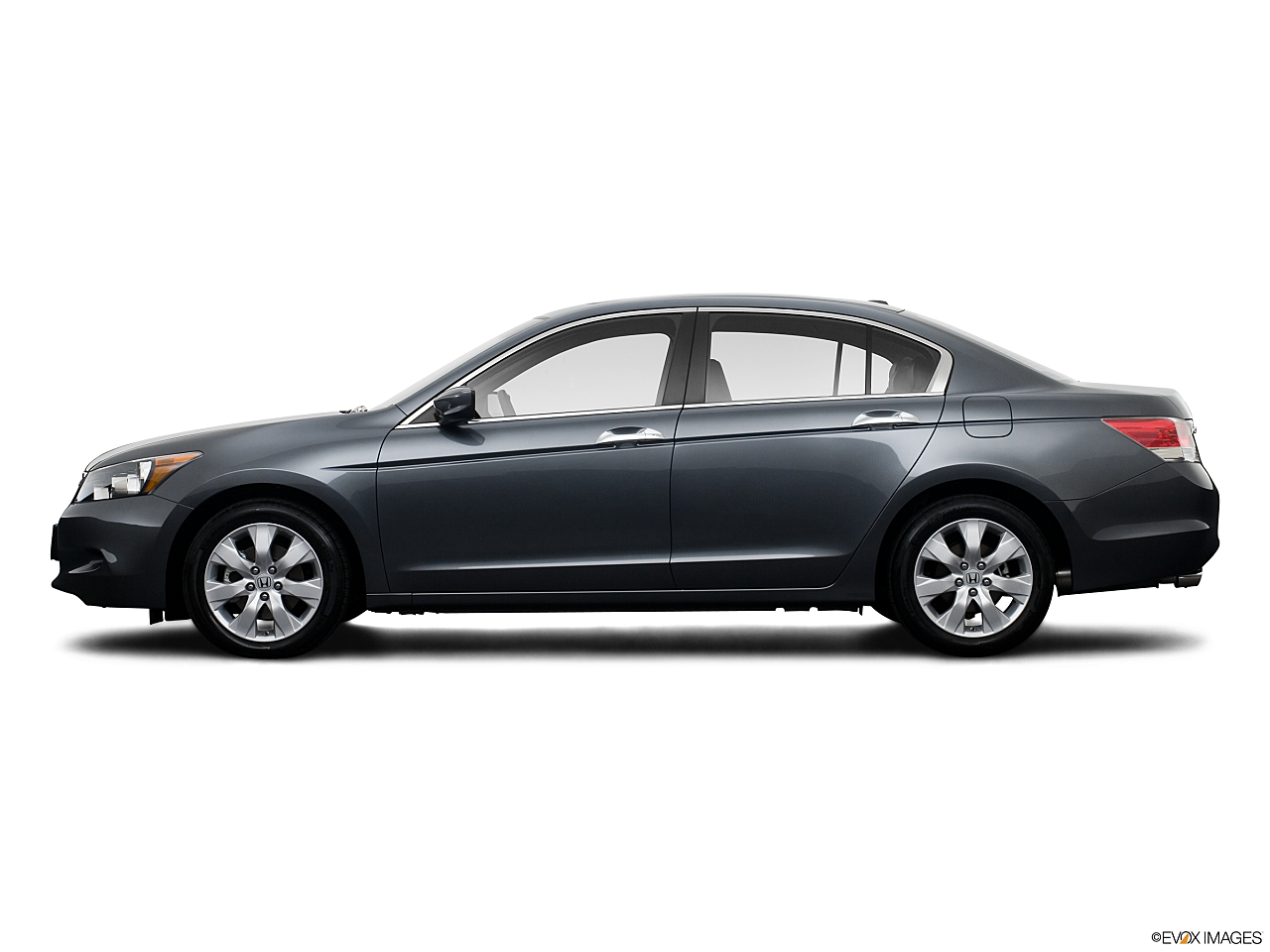 Image of 2008 Honda Accord EX-L