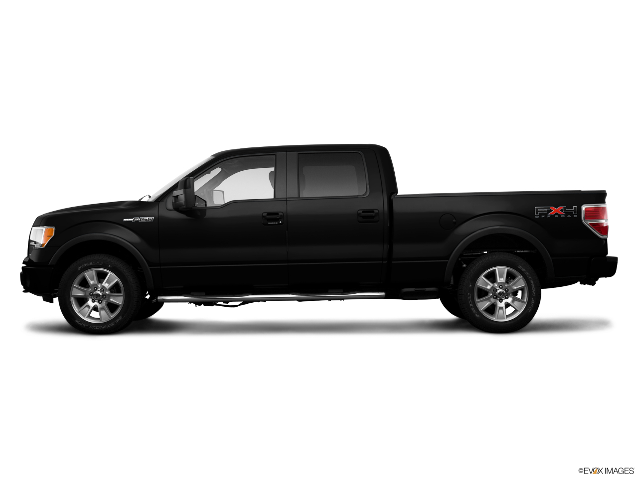 Image of 2009 Ford F-150 FX4