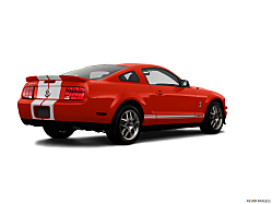 Thumbnail image of 2009 Ford Shelby GT500 at Steve Rogers Ford