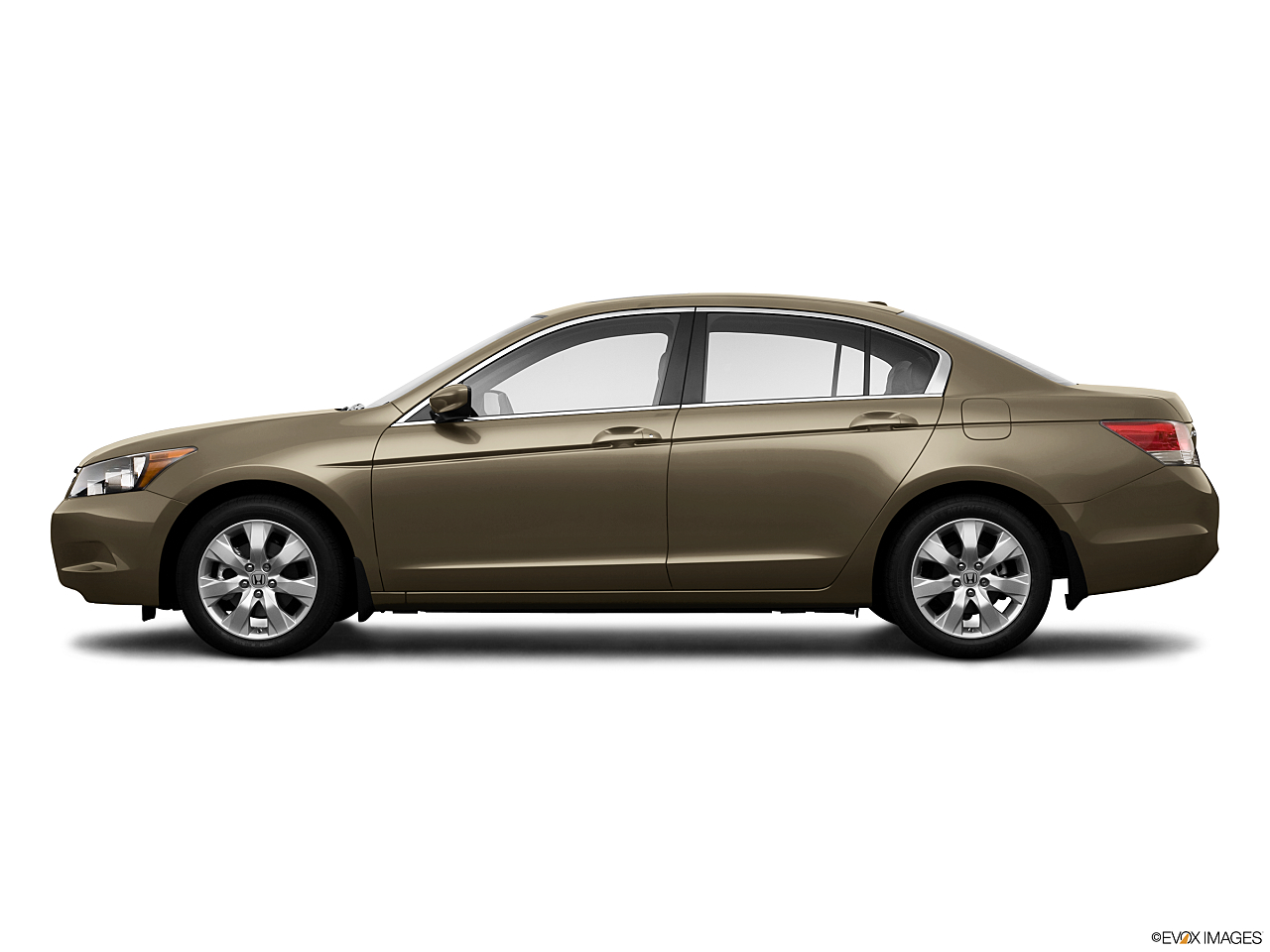 Image of 2009 Honda Accord EX-L