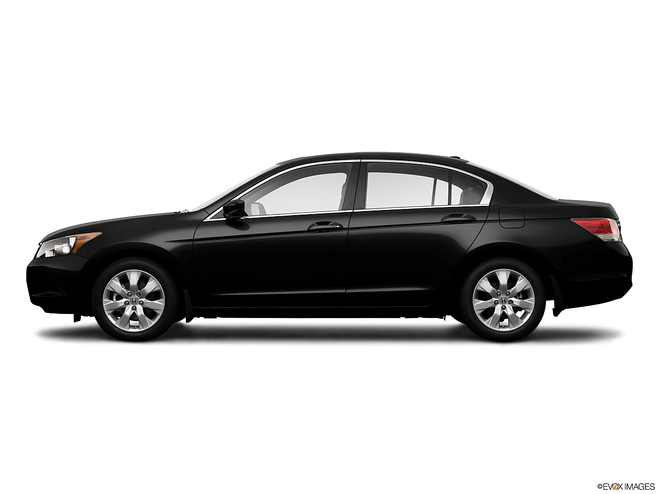 Image of 2009 Honda Accord EX-L