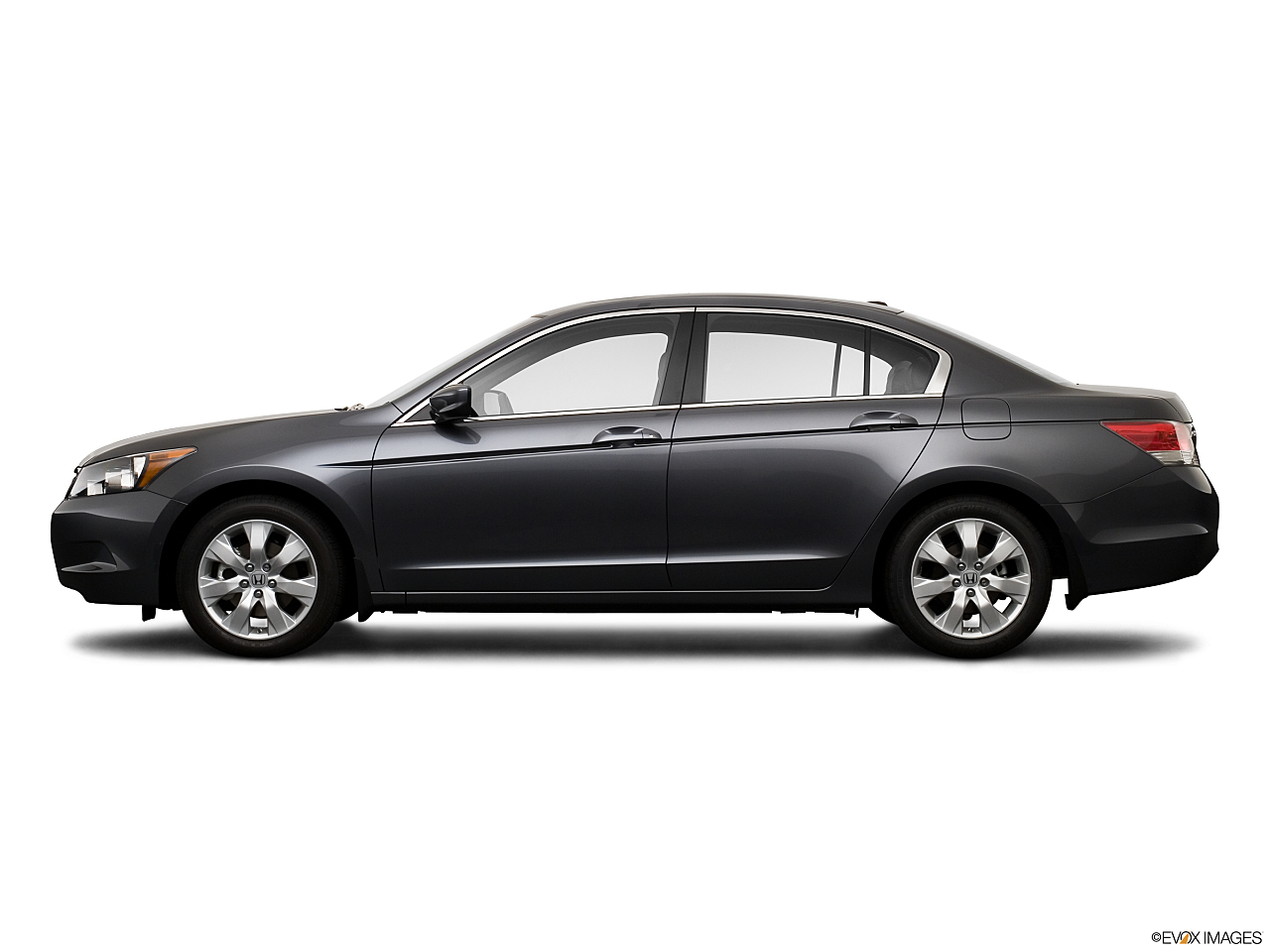 Image of 2009 Honda Accord EX-L