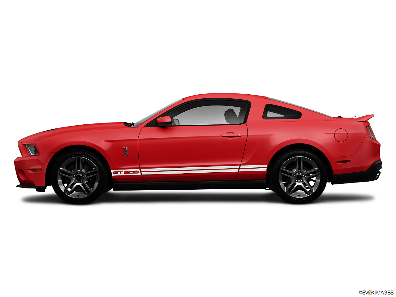 Image of 2010 Ford Shelby GT500 Base