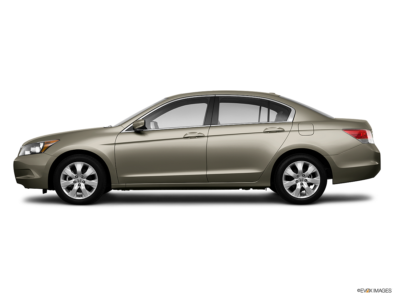 Image of 2010 Honda Accord EX-L